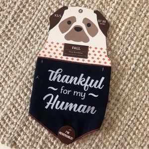 Adorable Reversible Fall Themed Dog Bandanna - NEW WITH TAG